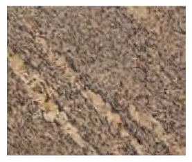 Light brown stone with diagonal veining.